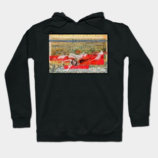 Beach Images Collage Hoodie